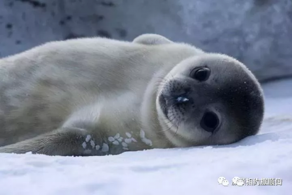 北緯38度—這裡是旅順