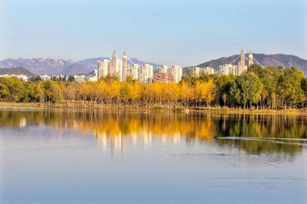 快來！您想欣賞的秋景，都在濱河公園