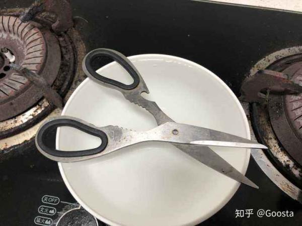 又到大雪時，美元可安否？記一隻極度憎恨男人的狸花貓