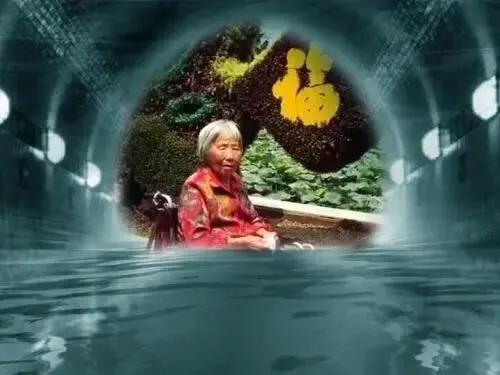 我的母親何永秀/趙程