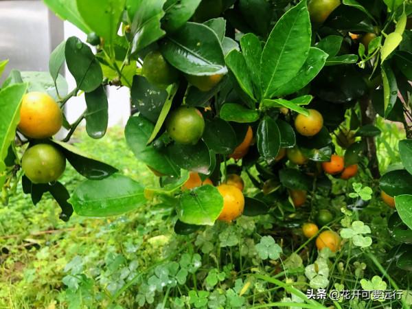 人生很短，天涯很遠，2022如若疫情淡去，唯旅行美食不可負也？