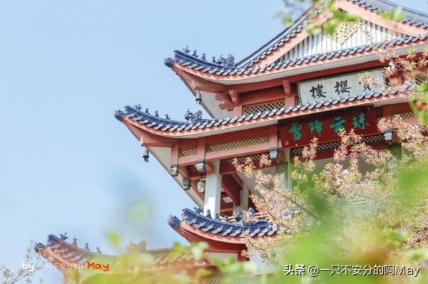 一徒記2021年終總結,10張年度最佳紀錄圖片 一徒記2021年終總結,10張年度最佳紀錄圖片