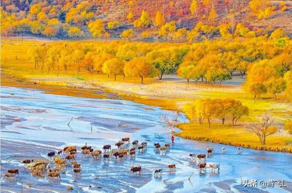 請欣賞—壩上草原風光