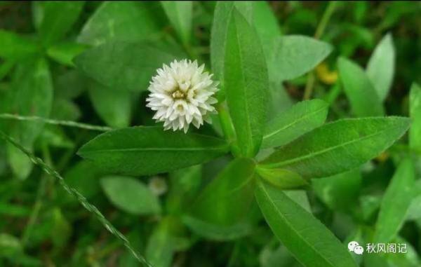 城南舊事之老一小