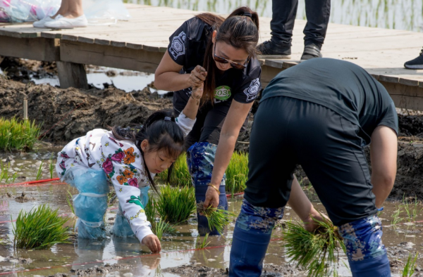 500元認領一窩雞大叔免費養，每月送30枚雞蛋年底吃雞肉，有多火