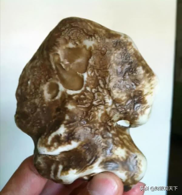 來新疆 我帶你撿石頭