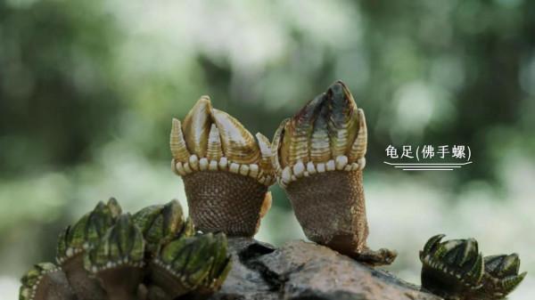 《風味人間3》解鎖了海鮮的更多食法