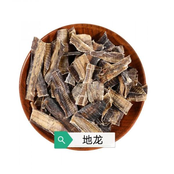 中藥古今研究:地龍 中藥古今研究:地龍