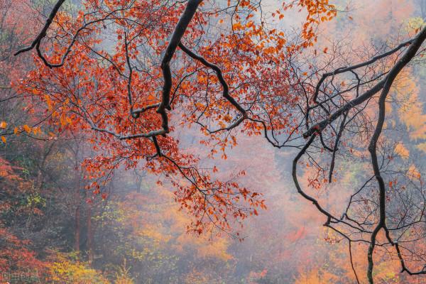 10月這12個顏值高地,已補好了妝,將向世人“賣弄”最美一面 10月這12個顏值高地,已補好了妝,將向世人“賣弄”最美一面