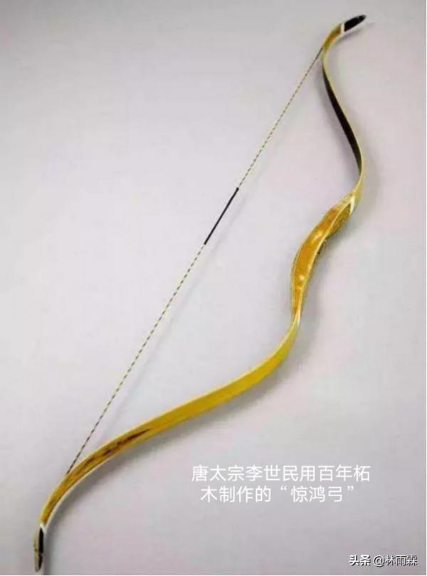 桑蠶文化活化石-柘桑蠶 桑蠶文化活化石-柘桑蠶