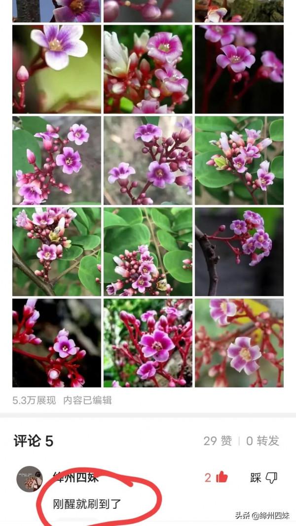 為勤奮的徐哥點贊&commat;潔康衛浴老徐