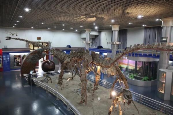 自然館文創產品馬門溪龍浮雕瓷杯入選《全國博物館文化創意產品目錄彙編》