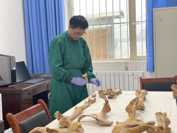 中國大遺址|從“九層妖塔”到吐蕃化的阿柴王陵 中國大遺址|從“九層妖塔”到吐蕃化的阿柴王陵