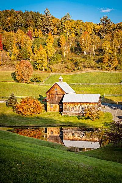 佛蒙特森林風光
