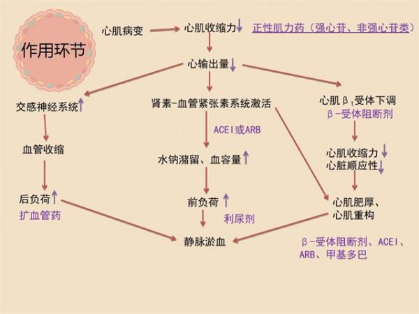 血壓低,只有一百多,甚至一百不到,是心衰了嗎?聽聽醫生怎麼說 血壓低,只有一百多,甚至一百不到,是心衰了嗎?聽聽醫生怎麼說