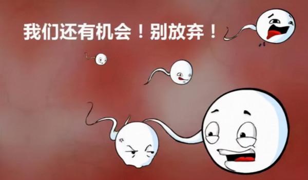 機率1/1000000！女子懷上雙胞胎10天后又再懷孕，能順利生子嗎？