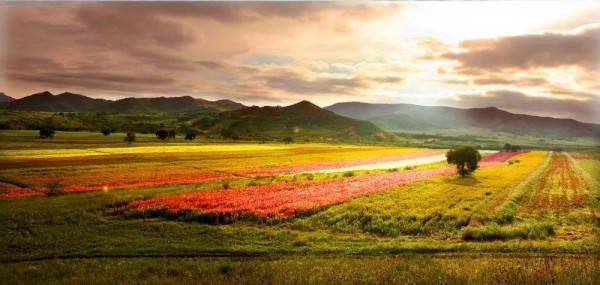樺木溝國家森林公園—一個北方山村的畫卷