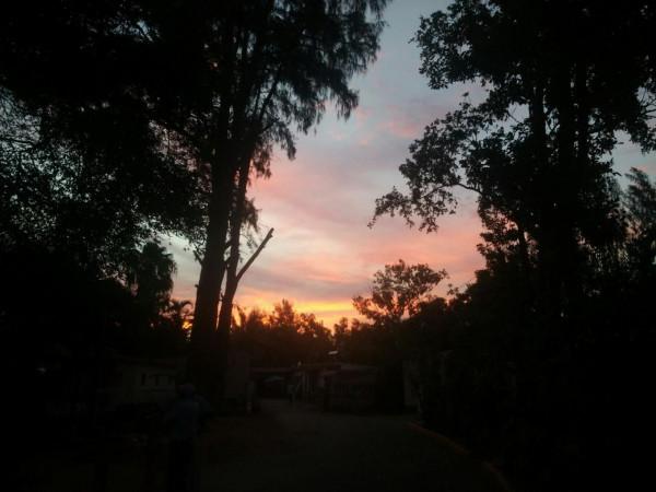 海外生活篇章第二站——非洲莫三比克 海外生活篇章第二站——非洲莫三比克