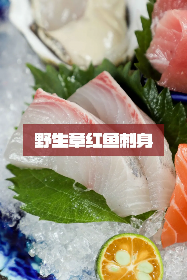 裡水有家食材劍指Omakase的日料店!人均60+嘆極致日料 裡水有家食材劍指Omakase的日料店!人均60+嘆極致日料