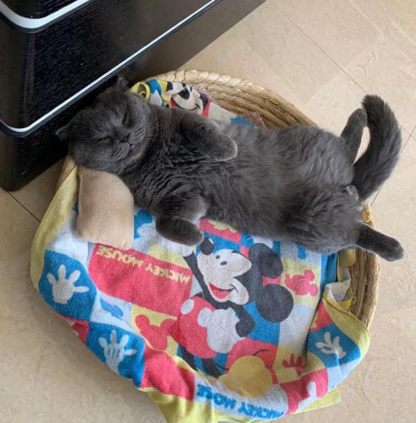 財寶兒你在哪？