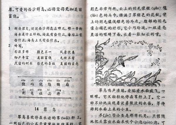 七八十年代小學語文第五冊的內容