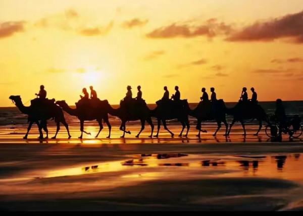 限電限產潮,經濟結構調整下的陣痛抉擇 限電限產潮,經濟結構調整下的陣痛抉擇