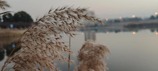 家鄉紅色故事2：激戰章郭莊 討伐稅警團