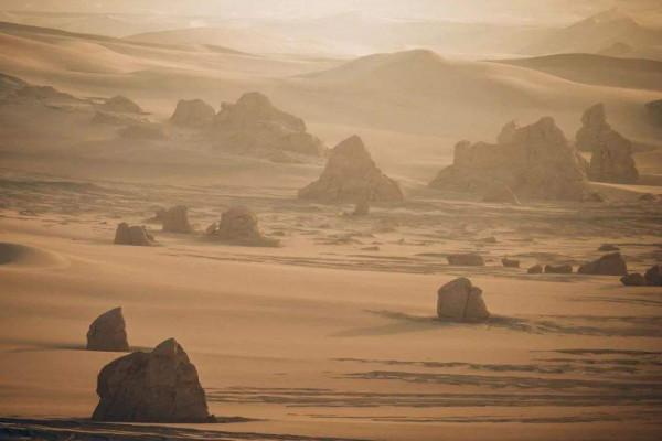 地球正在&OpenCurlyDoubleQuote;變綠&rdquo;，主因在於中印，為何印度的&OpenCurlyDoubleQuote;綠&rdquo;引專家擔憂？