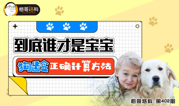 到底誰才是寶寶&mdash;&mdash;狗齡正確計算方法