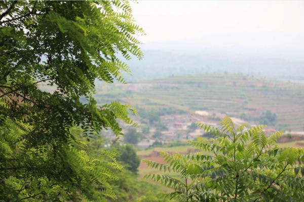 北京深山中的千年古村，村內都是四合院卻無人居住，距京城86公里