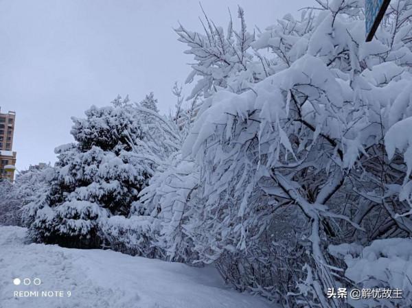 乘坐火車去旅行，時間慢下來，這3趟火車沿途皆是美景，建議收藏