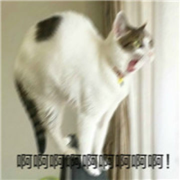 手機號不銷等三個月自動銷戶？運營商：想得美！最快銷戶方法來了