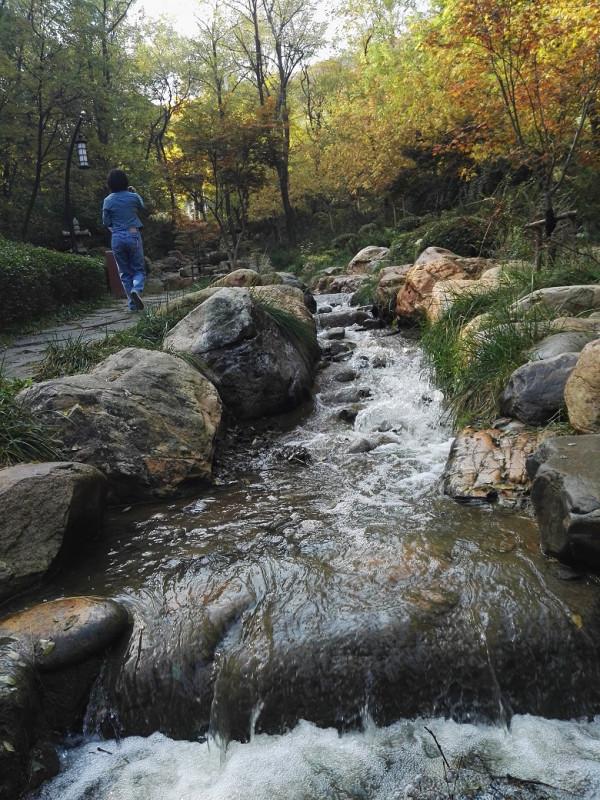 我常去遛彎的植物園 我常去遛彎的植物園