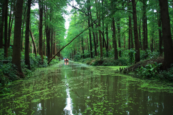 適合小住幾天的醉美慢城,走進風景裡,過最愜意的慢生活 適合小住幾天的醉美慢城,走進風景裡,過最愜意的慢生活