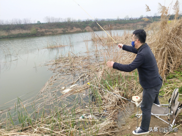冬天釣魚，葷餌、商品餌、素餌，到底哪個上魚效果最好？