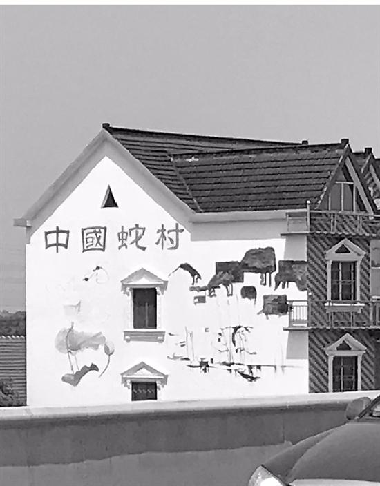 中國第一蛇村！浙江湖州村民飼養300萬條蛇，難道不怕被蛇咬嗎？