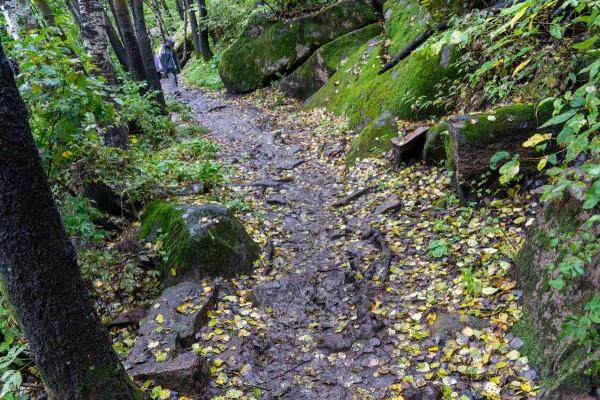 雨中喇叭溝門原始森林公園一日遊