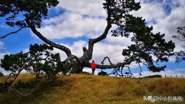 頓悟!當我把孩子當種子養,整個人都好多了 頓悟!當我把孩子當種子養,整個人都好多了