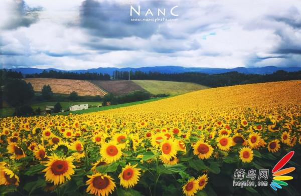 人生自修:美名完節,與人則遠害全身;汙行辱名,歸己則韜光養德 人生自修:美名完節,與人則遠害全身;汙行辱名,歸己則韜光養德