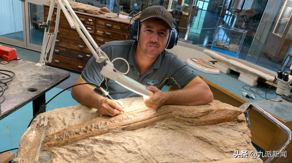 古生物學家在昆士蘭發現1億多年前的巨型魚龍骨骼