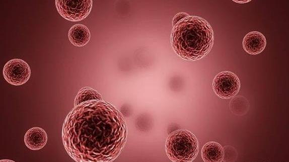 科學家發現以金屬為食的新品種細菌，百年前的預言，終於得到證實