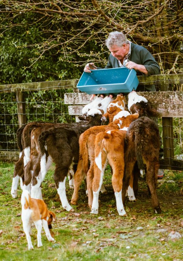 紐西蘭“封城”的日子 紐西蘭“封城”的日子