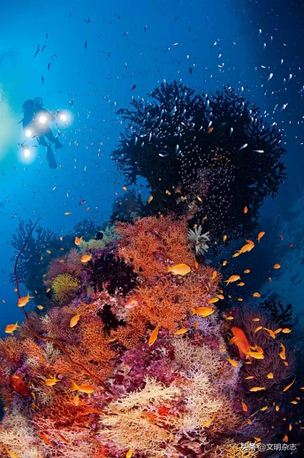 “上帝拋灑人間的項鍊”:馬爾地夫——走進“一帶一路”國家的世界遺產和多元文化 “上帝拋灑人間的項鍊”:馬爾地夫——走進“一帶一路”國家的世界遺產和多元文化