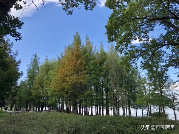 知足不知足 讀《道德經》有感