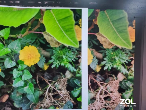 上億畫素照片列印 愛普生新品旗艦實測