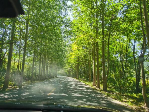 四人西府行 四人西府行