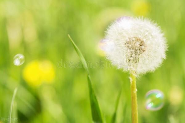 圖片分享一一乎倫貝爾大草原美景