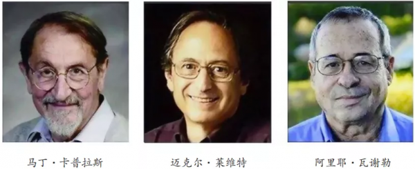 壁虎在天花板上爬行，換腳時為什麼不會掉下來？