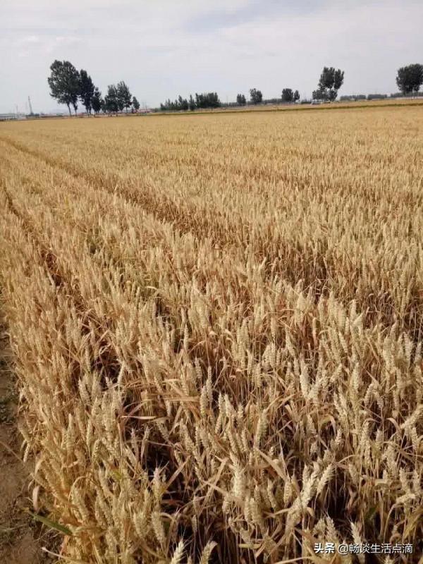 天氣預報:正值農曆十月,天氣暖和,啥預兆,看老祖宗諺語怎麼說 天氣預報:正值農曆十月,天氣暖和,啥預兆,看老祖宗諺語怎麼說