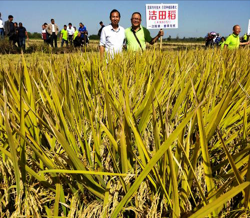 唐曉豔：獨家技術研發&OpenCurlyDoubleQuote;潔田稻&rdquo;，讓稻田雜草不生，且不傷秧苗